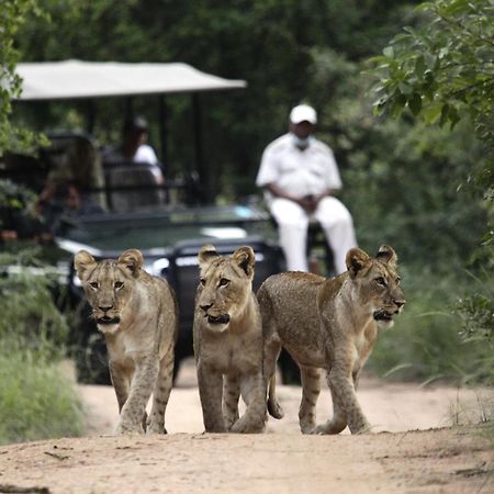 Kuname Lodge Karongwe Game Reserve Bagian luar foto